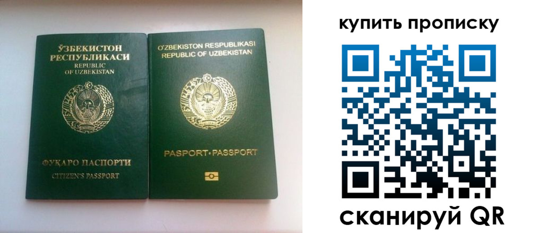 прописка в квартире в Бородино
